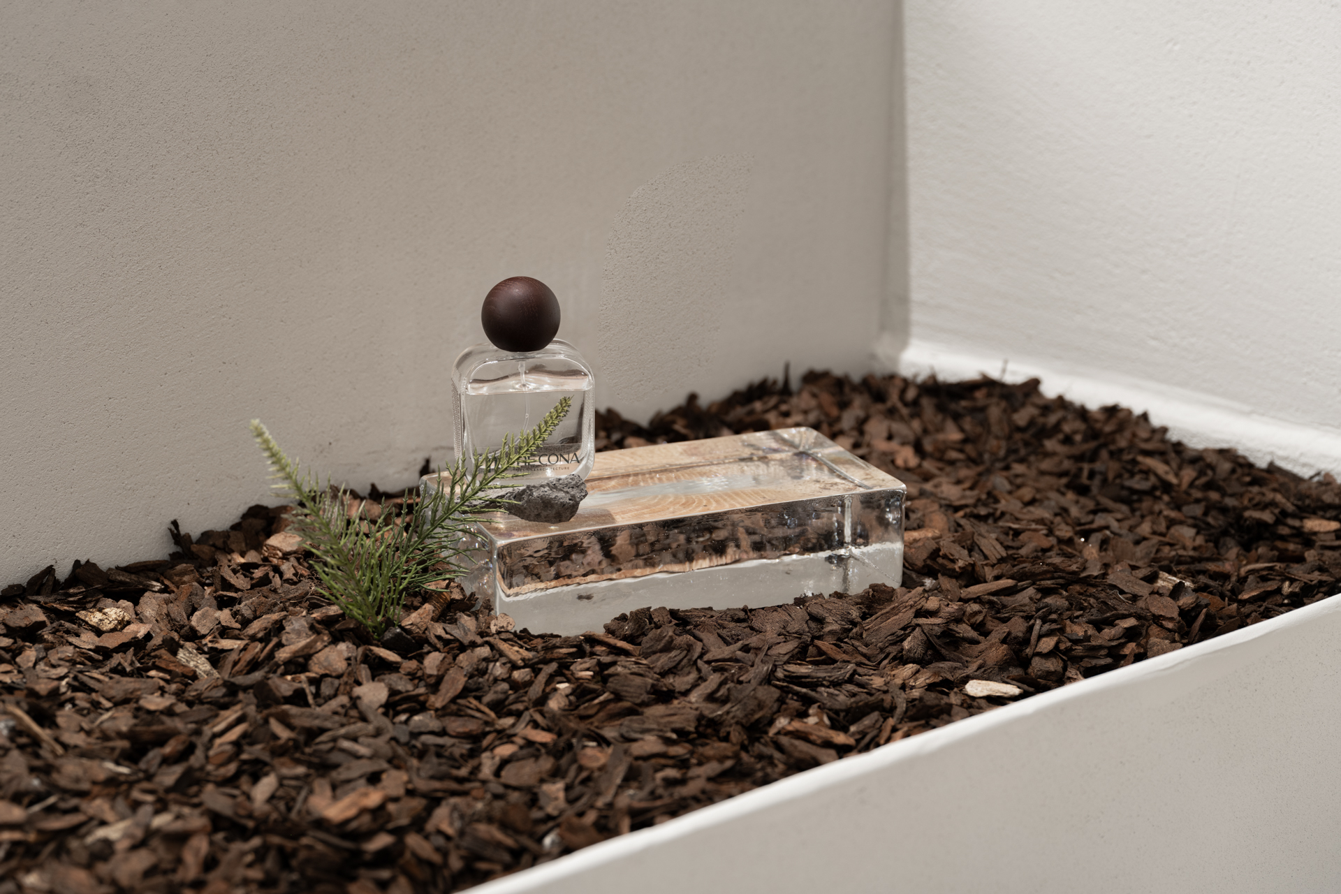 더 코나 메디스페이스 포트폴리오