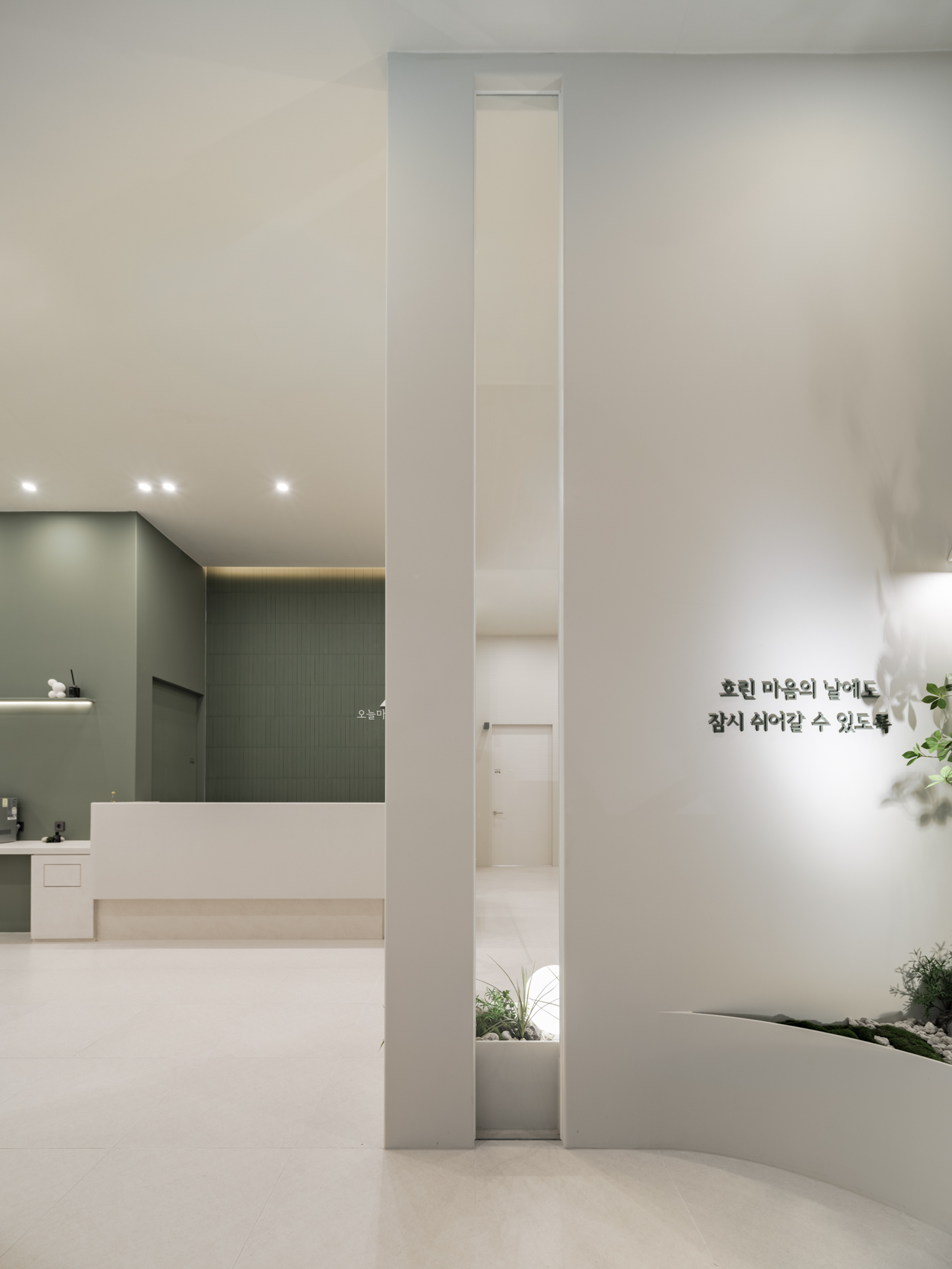 더 코나 메디스페이스 포트폴리오
